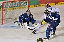 ERC Ingolstadt vs Schwenninger Wild Wings, Eishockey, DEL, Deutsche Eishockey Liga, 20.11.2015




