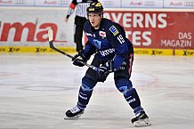 ERC Ingolstadt vs Duesseldorfer EG, Eishockey, DEL, Deutsche Eishockey Liga, 06.12.2015