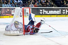 Hamburg Freezers vs ERC Ingolstadt, Eishockey, DEL, 25.10.15