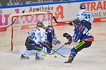 02.01.2021 - Straubing Tigers - ERC Ingolstadt