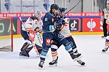 Eishockey, Mens, CHL, Season 2023-2024, ERC Ingolstadt - Växjö Lakers, 14.11.2023