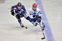 02.01.2021 - Straubing Tigers - ERC Ingolstadt