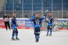 Eishockey, Frauen, European Womens Hockey League, Saison 2024-2025, ERC Ingolstadt - Lakers Kärnten, 13.09.2024