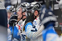 Eishockey, Herren, DEL, Saison 2024-2025, Vorbereitung, ERC Ingolstadt - Dresdner Eislöwen, 18.08.2024