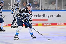 Eishockey, Herren, DEL, Saison 2024-2025, Vorbereitung, ERC Ingolstadt - Dresdner Eislöwen, 18.08.2024