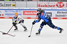 Eishockey, Herren, DEL, Saison 2023-2024, Playoffs Viertelfinale - Spiel 4, ERC Ingolstadt - Fischtown Pinguins , 24.03.2024