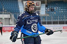 Eishockey, Frauen, DFEL, Saison 2024-2025, ERC Ingolstadt - Mad Dogs Mannheim, 23.11.2024