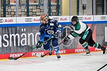 Eishockey, Frauen, European Womens Hockey League, Saison 2024-2025, ERC Ingolstadt - Lakers Kärnten, 13.09.2024