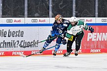 Eishockey, Frauen, European Womens Hockey League, Saison 2024-2025, ERC Ingolstadt - Lakers Kärnten, 13.09.2024