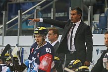 ERC Ingolstadt vs Braehead Clan, CHL, European Champions League, 22.08.2015  