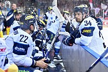 Fischtown Pinguins Bremerhaven - ERC Ingolstadt, Eishockey, DEL, Deutsche Eishockey Liga, Preplayoff, Spiel 2, 03.03.2017