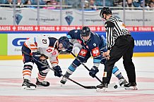 Eishockey, Mens, CHL, Season 2023-2024, ERC Ingolstadt - Växjö Lakers, 14.11.2023