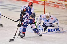 02.01.2021 - Straubing Tigers - ERC Ingolstadt