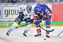 Adler Mannheim vs ERC Ingolstadt, DEL, Deutsche Eishockey Liga, Spieltag 24, 06.12.2019