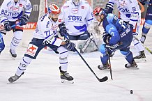 20.12.2020 - ERC Ingolstadt - Schwenninger Wild Wings