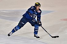 ERC Ingolstadt vs Schwenninger Wild Wings, Eishockey, DEL, Deutsche Eishockey Liga, 20.11.2015




