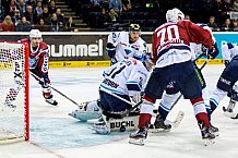 Hamburg Freezers vs ERC Ingolstadt, Eishockey, DEL, 25.10.15