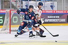 Eishockey, Mens, CHL, Season 2023-2024, ERC Ingolstadt - Växjö Lakers, 14.11.2023