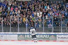 Eishockey, Herren, DEL, Saison 2024-2025, ERC Ingolstadt - Showtraining für Dauerkartenbesitzer, 04.08.2024