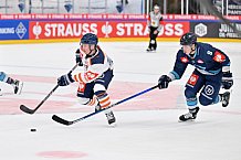 Eishockey, Mens, CHL, Season 2023-2024, ERC Ingolstadt - Växjö Lakers, 14.11.2023