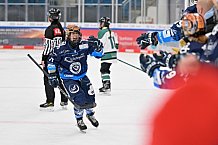 Eishockey, Frauen, European Womens Hockey League, Saison 2024-2025, ERC Ingolstadt - Lakers Kärnten, 13.09.2024