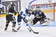 ERC Ingolstadt - Dornbirn Bulldogs, Eishockey, DEL, Deutsche Eishockey Liga, 25.08.2017