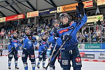 Eishockey, Herren, DEL, Saison 2023-2024, Playoffs Viertelfinale - Spiel 4, ERC Ingolstadt - Fischtown Pinguins , 24.03.2024