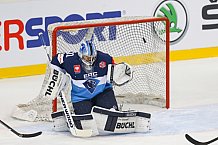 ERC Ingolstadt vs Braehead Clan, CHL, European Champions League, 22.08.2015  