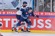 Eishockey, Mens, CHL, Season 2023-2024, ERC Ingolstadt - Växjö Lakers, 14.11.2023