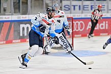 Eishockey, Herren, DEL, Saison 2024-2025, Vorbereitung, ERC Ingolstadt - Dresdner Eislöwen, 18.08.2024