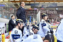 Fischtown Pinguins Bremerhaven - ERC Ingolstadt, Eishockey, DEL, Deutsche Eishockey Liga, Preplayoff, Spiel 2, 03.03.2017