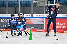 Eishockey, Herren, DEL, Saison 2024-2025, ERC Ingolstadt - Kids On Ice Day, 11.01.2025